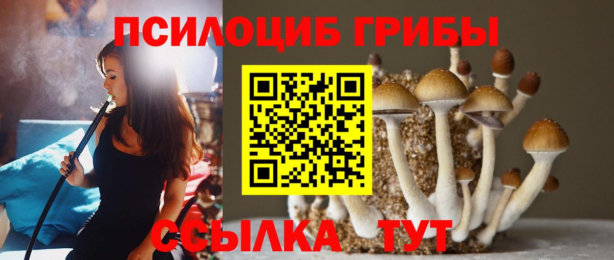Псилоцибиновые грибы MAGIC MUSHROOMS  Вход с VPN  Алексин 
